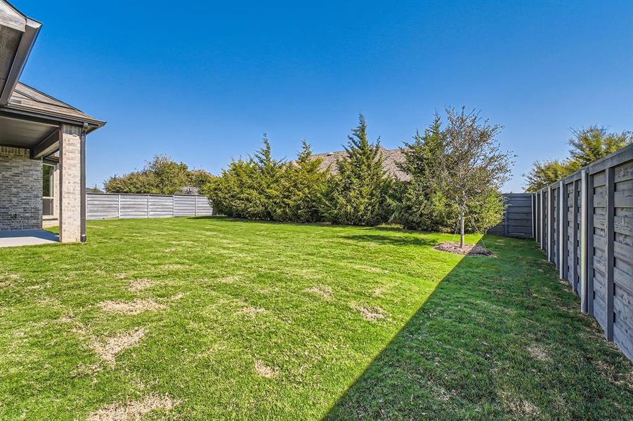 View of yard with a patio area