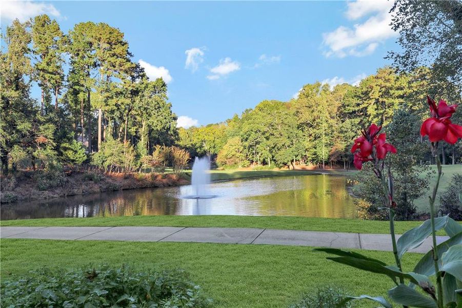 Natural landscape and outdoor views near  in Johns Creek (Image 24).