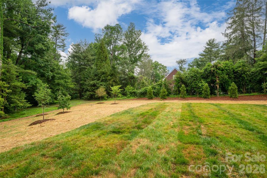 Natural landscape and outdoor views near  in Asheville (Image 33).