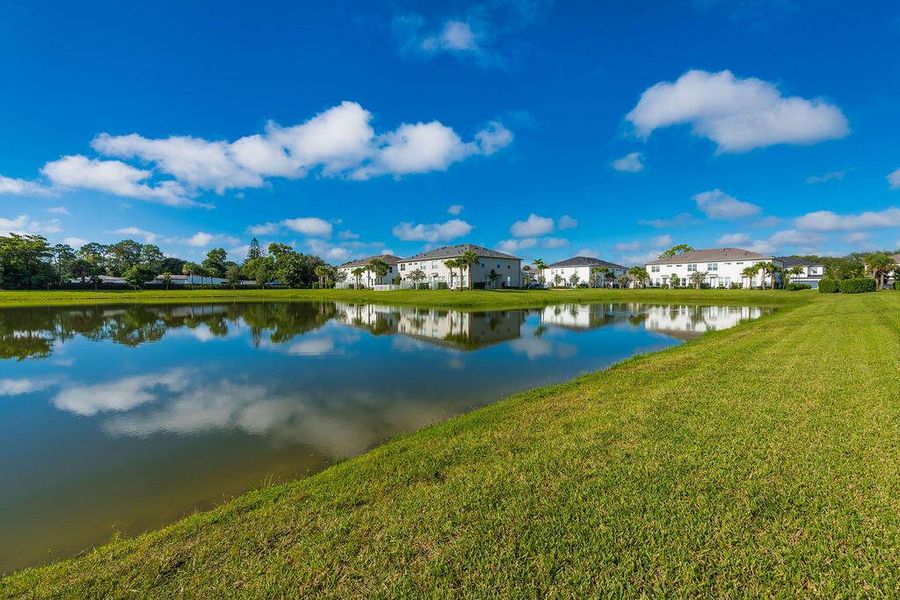 Natural landscape and outdoor views near  in West Palm Beach (Image 22).