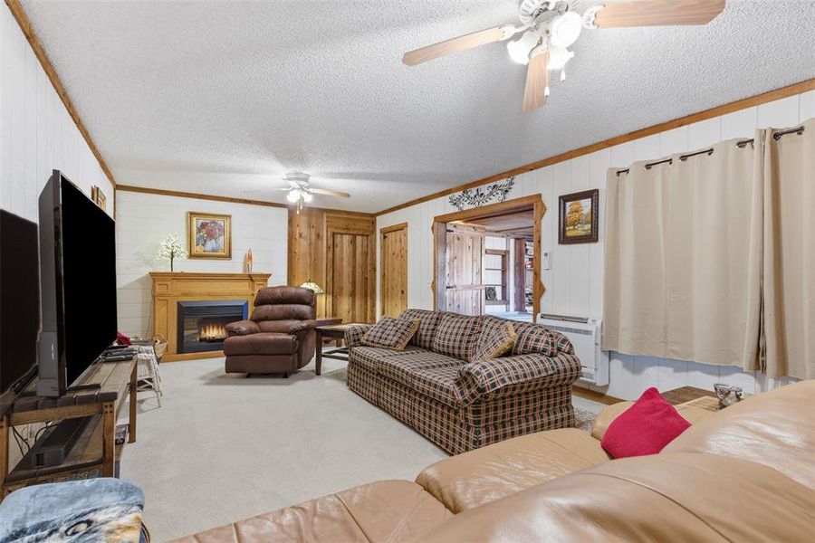 Large 25' x 13' Living Room with fireplace Large 25' x 13' Living Room with fireplace