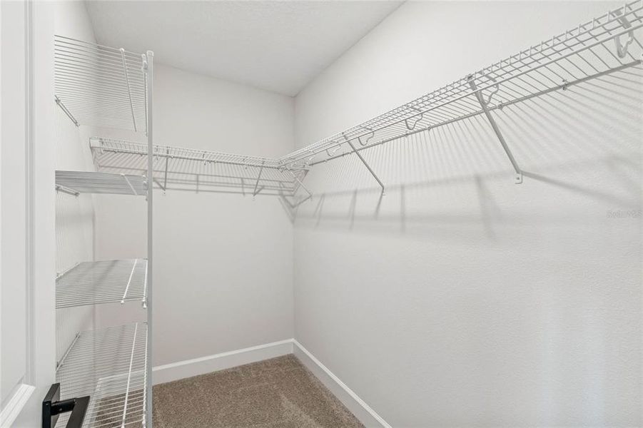 Spacious, unfurnished interior of a new home in Aspire at Canter Creek, Davenport (Image 21).