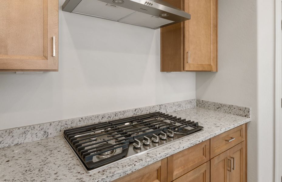 Close-up of interior finishes inside a home in Alamar, Avondale (Image 13).