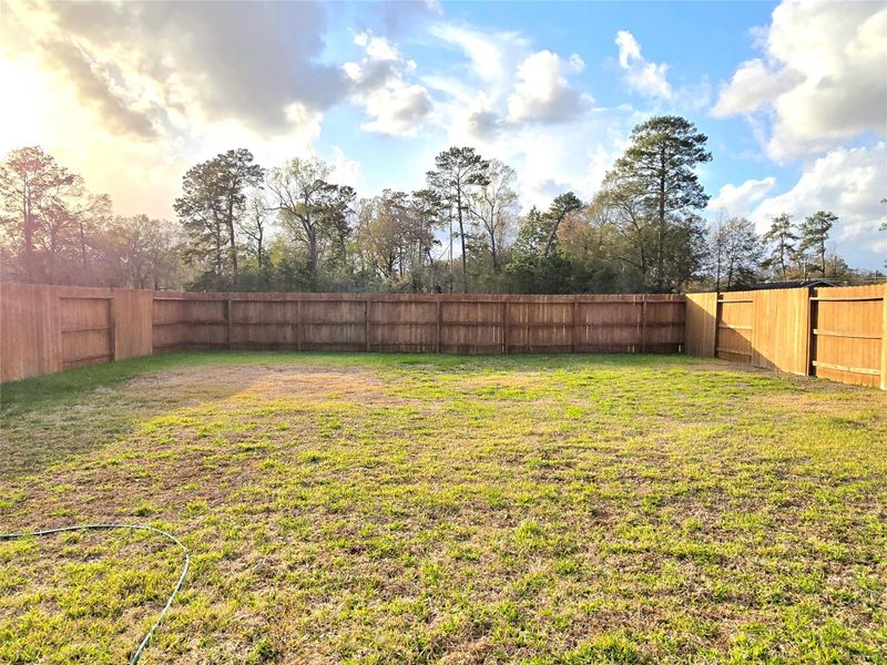 Huge back yard Huge back yard