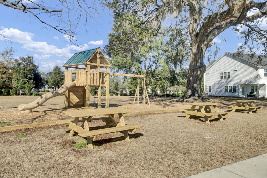 Community amenities in , Summerville (Image 34).