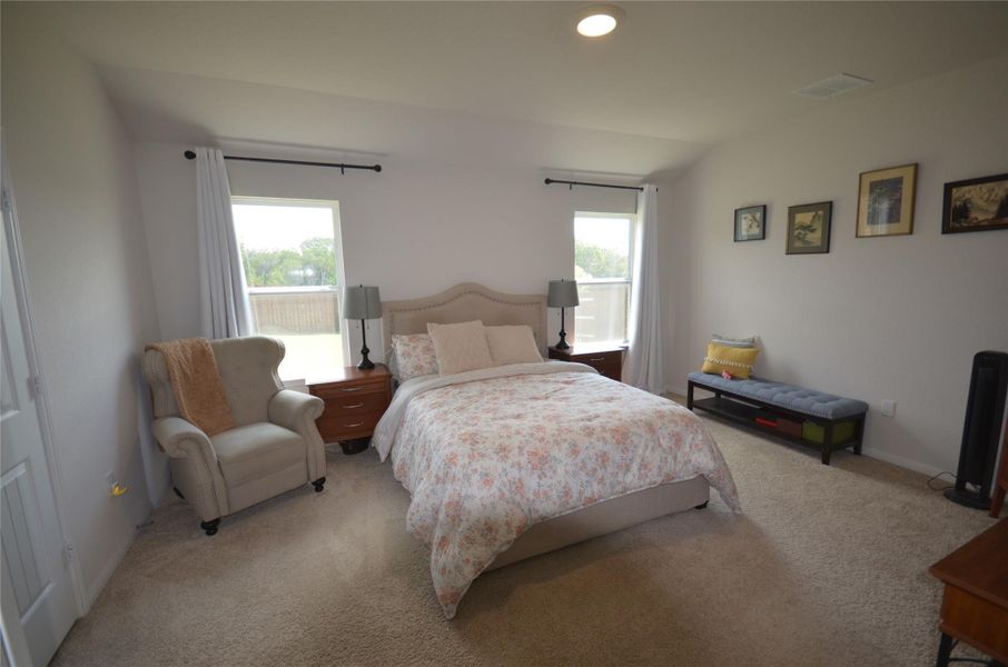 Bedroom featuring light colored carpet and multiple windows Bedroom featuring light colored carpet and multiple windows