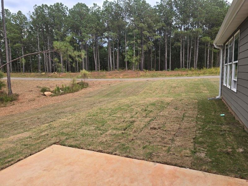 Exterior details and patio area of a home in Waters Edge, Mansfield (Image 3).
