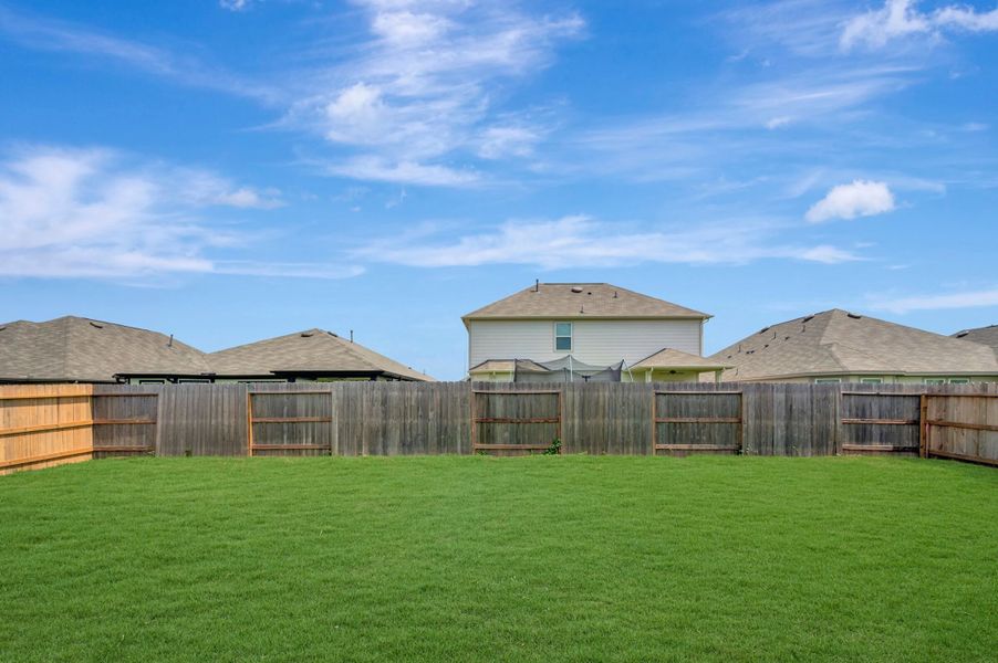 Backyard