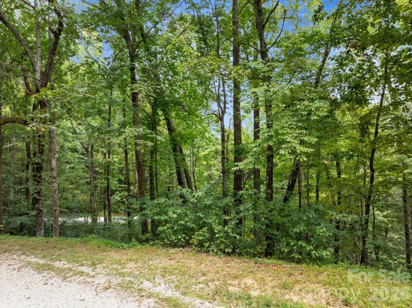 Natural landscape and outdoor views near  in Saluda (Image 7).