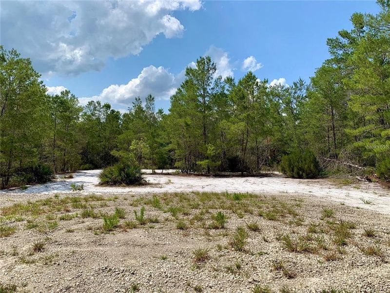 Natural landscape and outdoor views near in Eustis (Image 43). Natural landscape and outdoor views near in Eustis (Image 43).