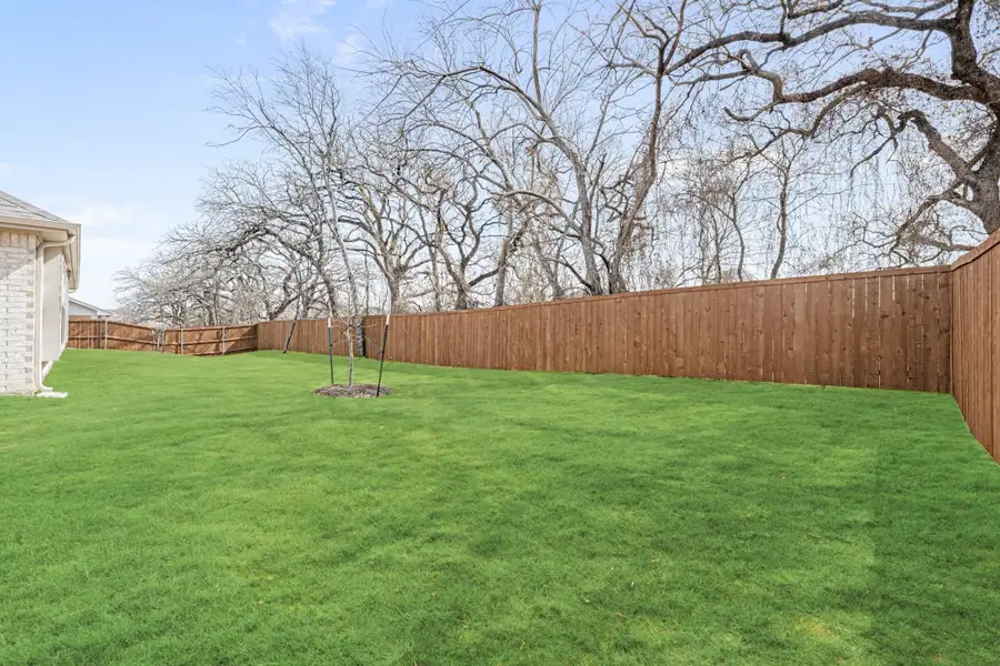 Spacious backyard with green lawn, wood privacy fence, and small young trees