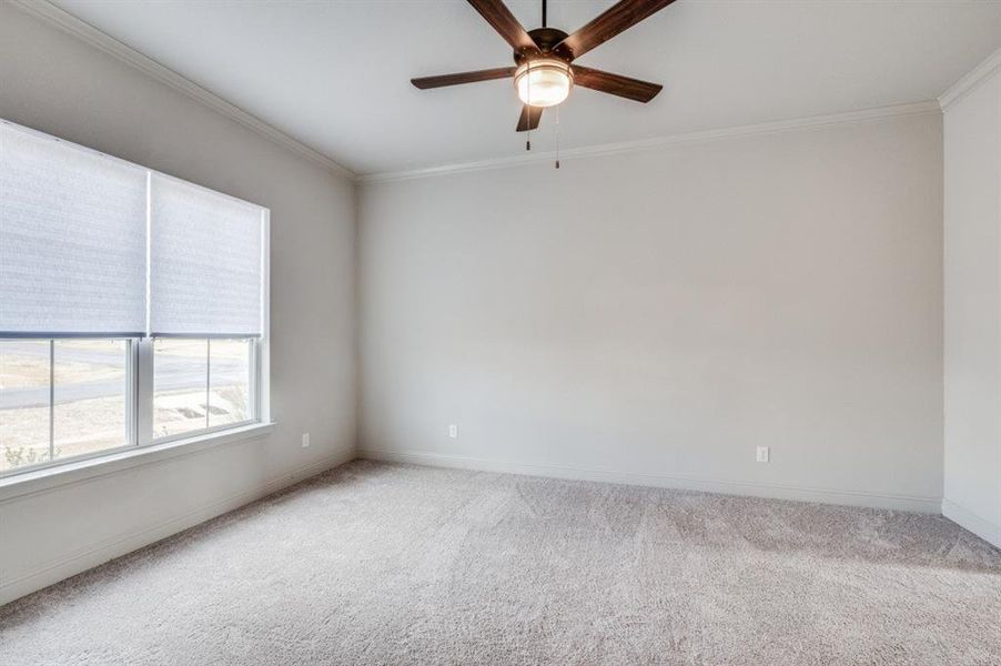 Spare room featuring crown molding, carpet, and ceiling fan