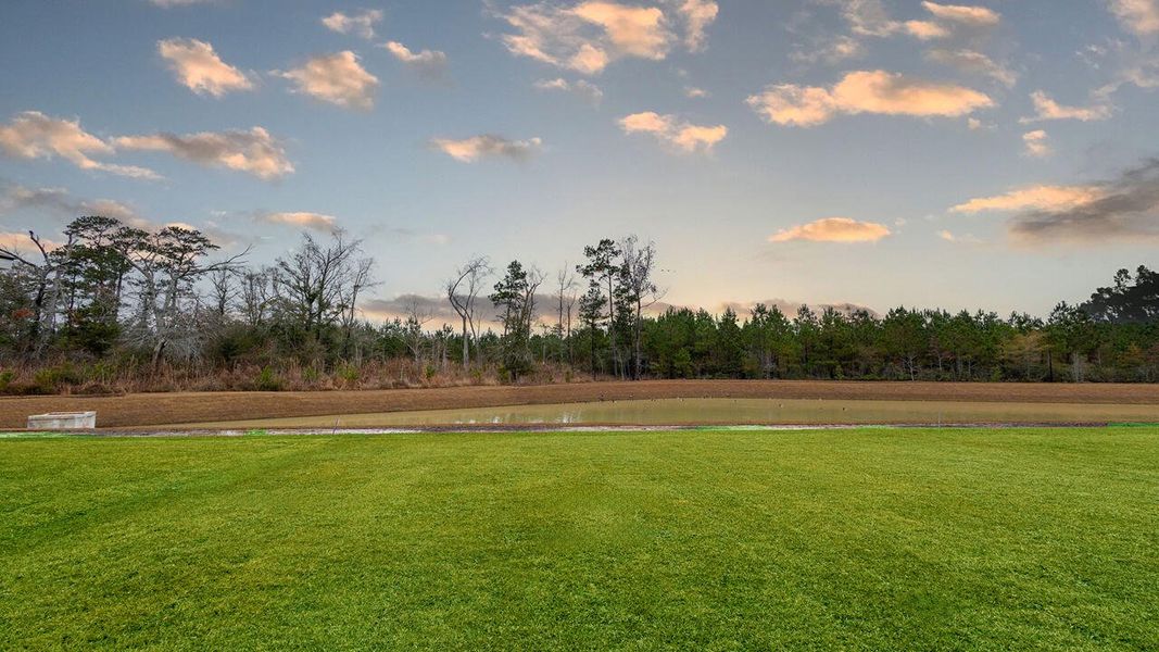 Natural landscape and outdoor views near The Cove at Mallard Crossing in Summerville (Image 26).