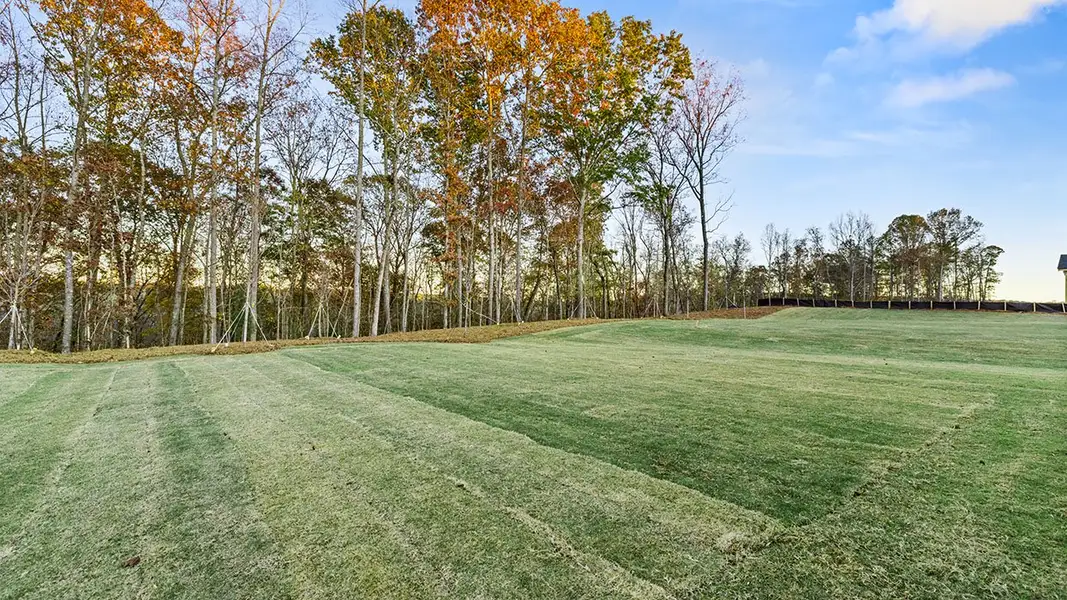 Outdoor and nature views near homes built from the Jean Lee by D.R. Horton in Heritage Pointe, Senoia (Image 35).