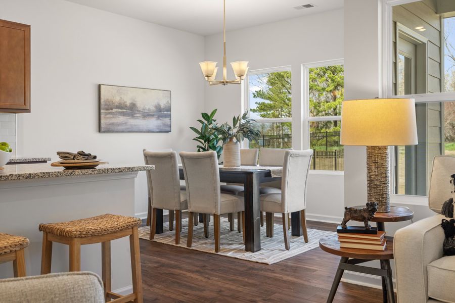 New Home in Landrum, SC.  - Slide 6