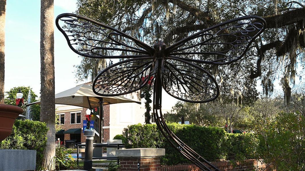 Image 41 of a home in Esplanade at McKinnon Groves.