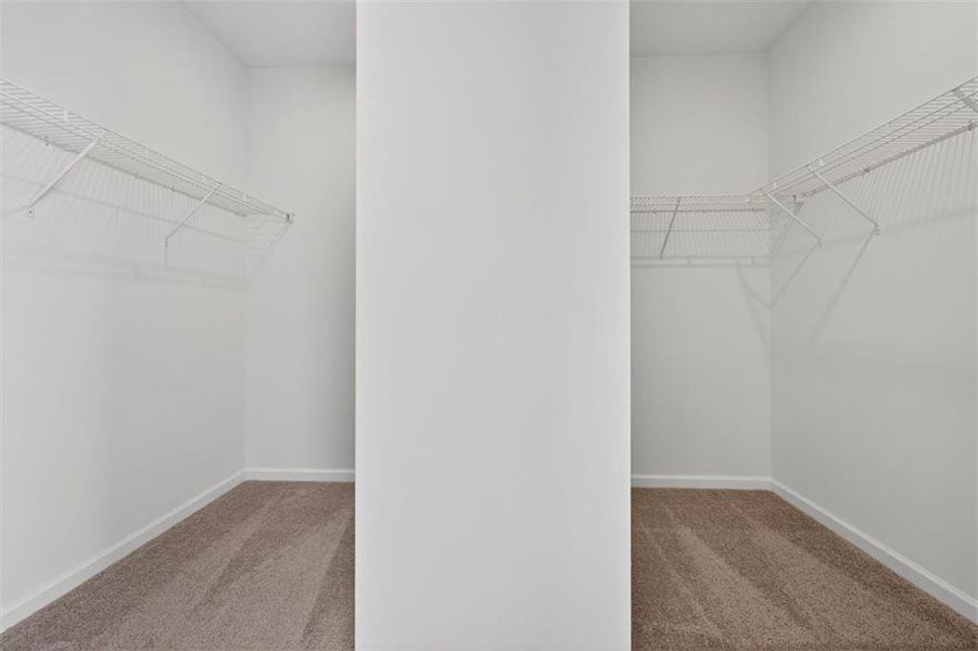 Spacious, unfurnished interior of a new home in Kingston Park, Kingston (Image 34).