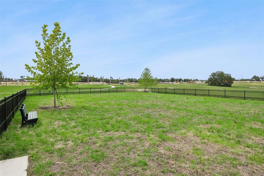 Natural landscape and outdoor views near Crossroads at Kelly Park in Apopka (Image 31).