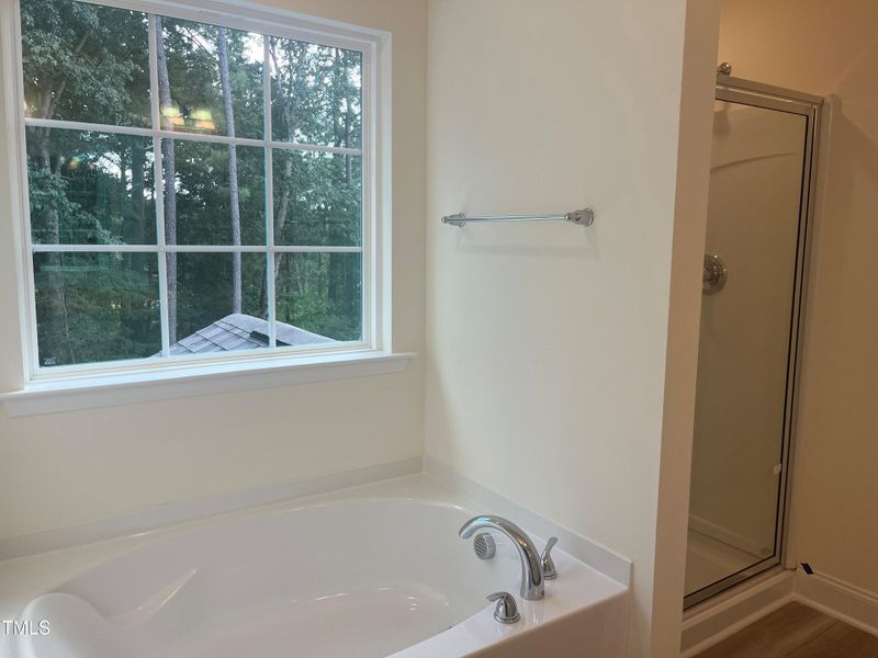 Primary Bath w/Garden Tub