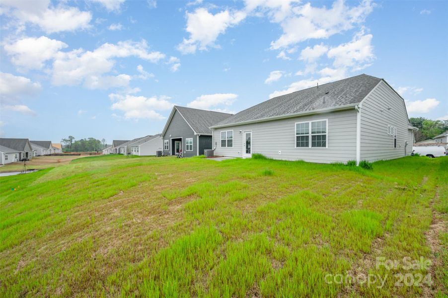 Spacious back yard