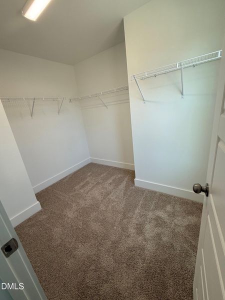 Lot 31 Primary Walk In Closet