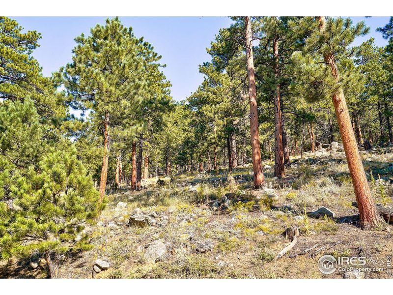 Image 32 of a home in . Image 32 of a home in .