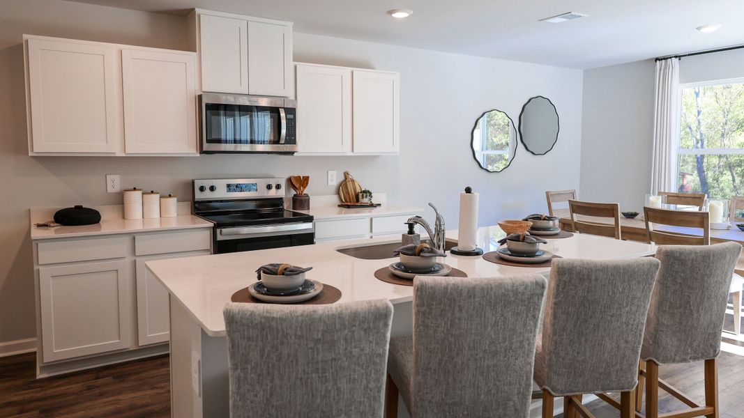 Furnished interior view inside a new home in Paddington Place, Baxter (Image 5).