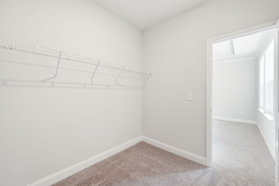 Spacious, unfurnished interior of a new home in Carriage Estates, Lexington (Image 34).