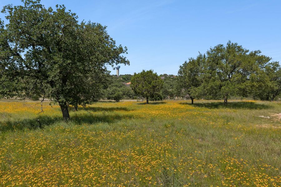 Natural landscape and outdoor views near  in Horseshoe Bay (Image 19).