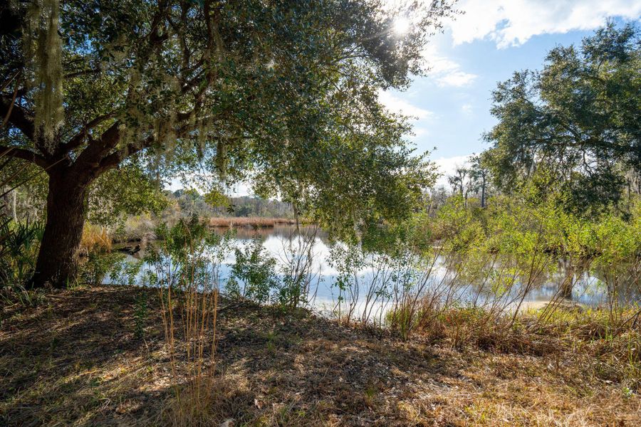Natural landscape and outdoor views near in Johns Island (Image 74). Natural landscape and outdoor views near in Johns Island (Image 74).