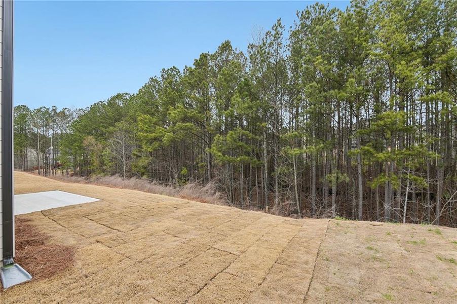 Natural landscape and outdoor views near Ivey Township in Dallas (Image 48).