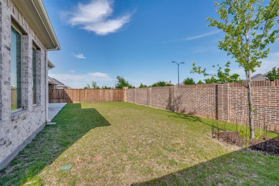 Expansive backyard featuring a manicured lawn, a young tree, and a concrete patio space