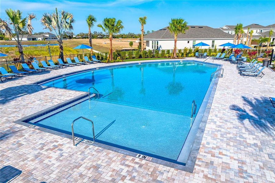 Community amenities in Indigo Creek, Apollo Beach (Image 25). Community amenities in Indigo Creek, Apollo Beach (Image 25).