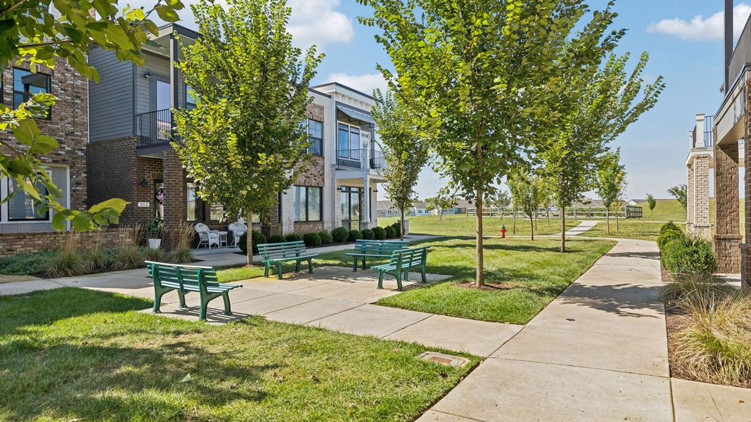 Community amenities in Harvest Point, Spring Hill (Image 6).