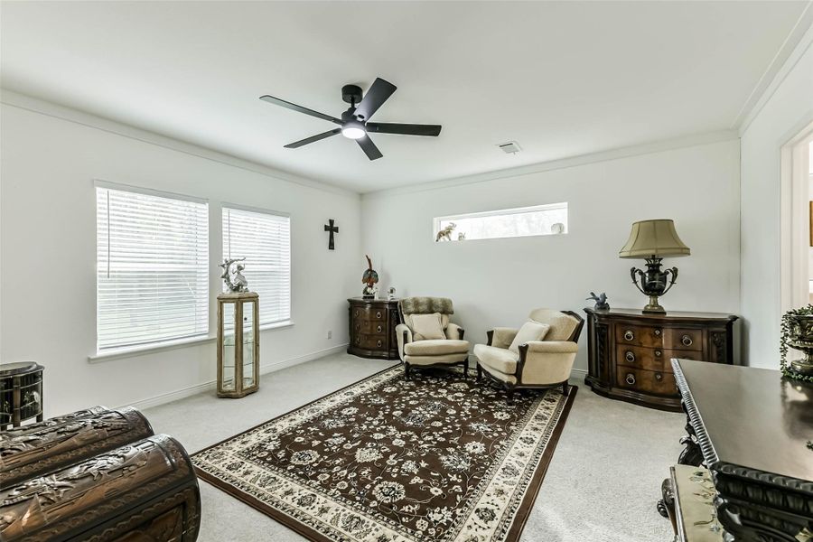 Large Master bedroom w/ lots of natural light