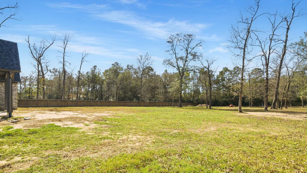 Natural landscape and outdoor views near in Montgomery (Image 43). Natural landscape and outdoor views near in Montgomery (Image 43).