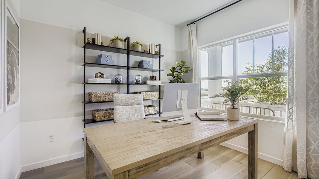 3504 Orchid Study F1