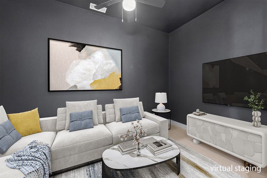 Entertainment Room