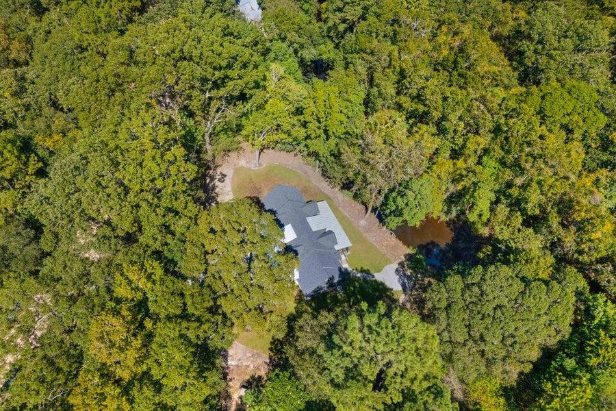 Natural landscape and outdoor views near  in Johns Island (Image 51).