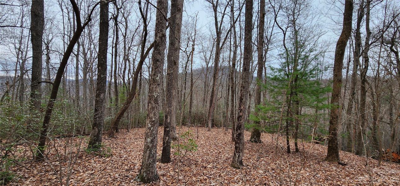 Image 24 of a home in .