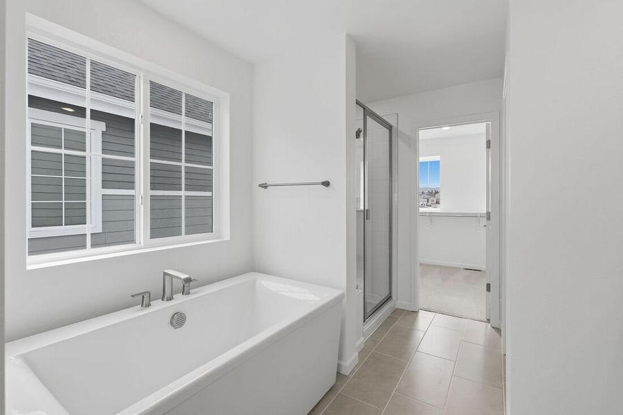 Furnished interior view inside a new home in Sterling Ranch Ascent Village, Littleton (Image 12).
