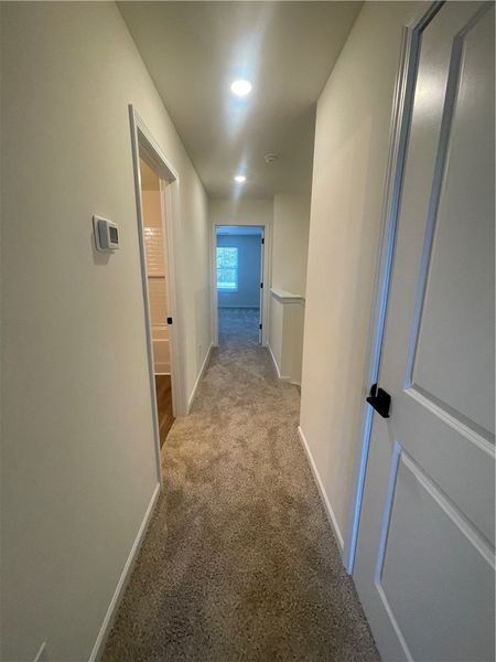 Spacious, unfurnished interior of a new home in Springwood Grove, Central (Image 23). Spacious, unfurnished interior of a new home in Springwood Grove, Central (Image 23).