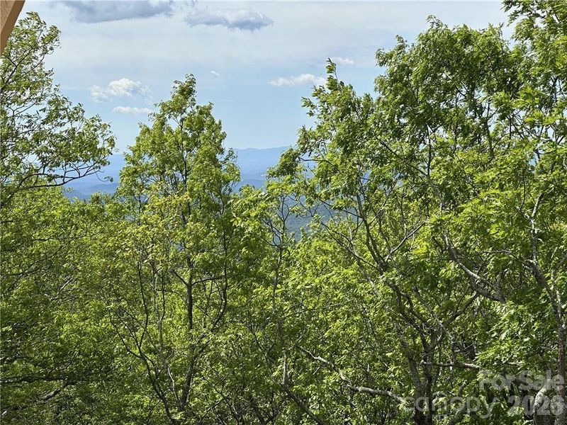 photo taken in summer '25 - shows view potential with tree topping