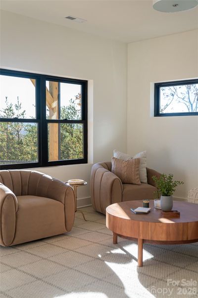 Lower family room