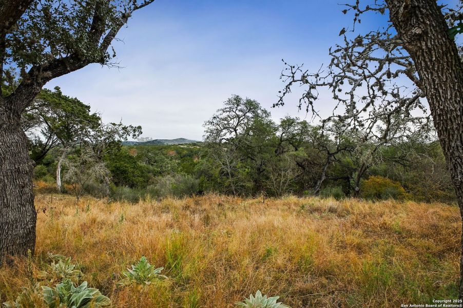 Natural landscape and outdoor views near  in Bandera (Image 45).