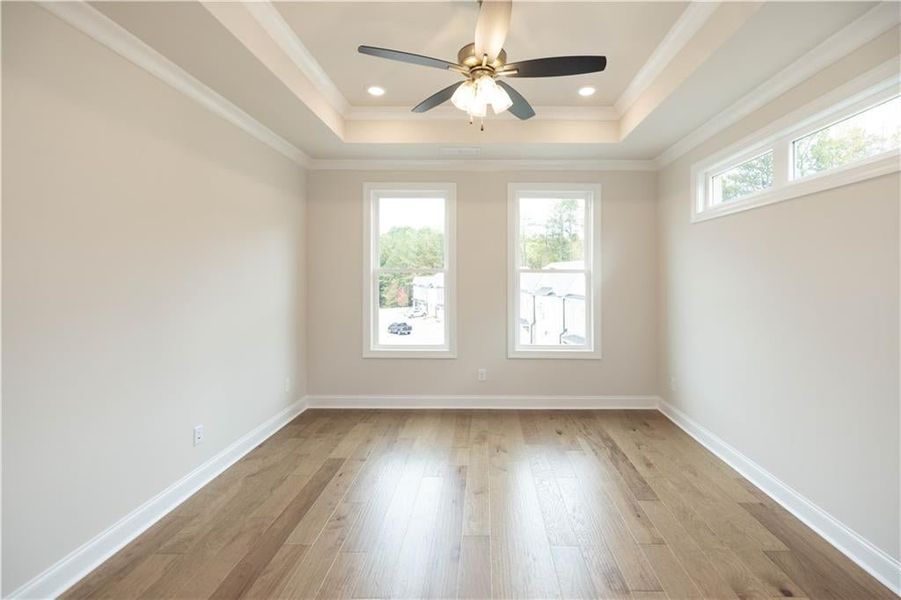 Unfurnished room featuring crown molding, light hardwood / wood-style flooring, a raised ceiling, and ceiling fan