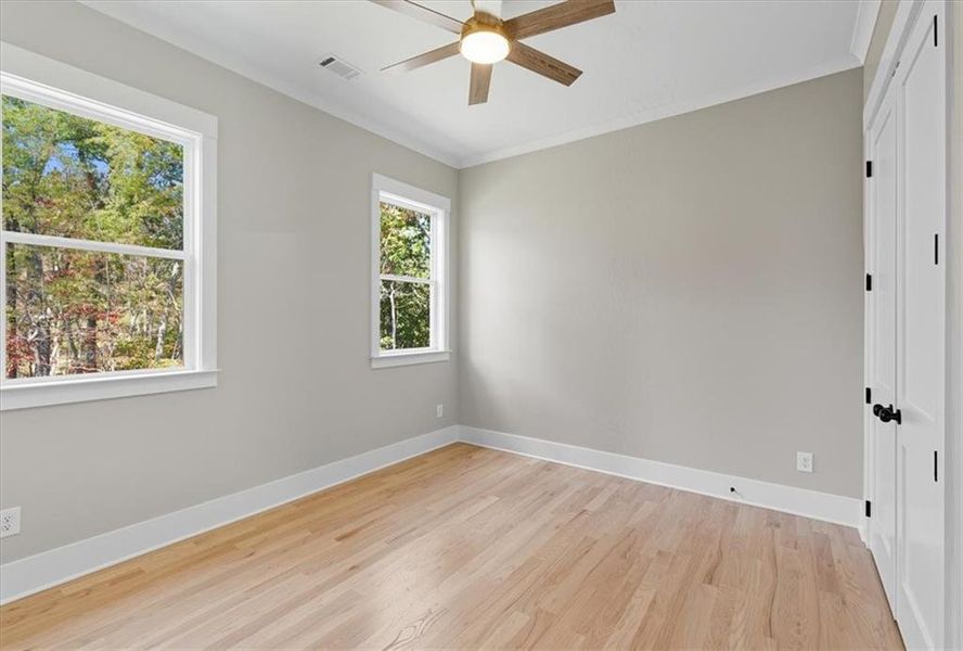 Spacious, unfurnished interior of a new home in , Kingston (Image 31).