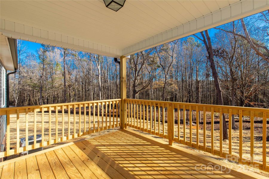 Exterior details and patio area of a home in , Rock Hill (Image 19).