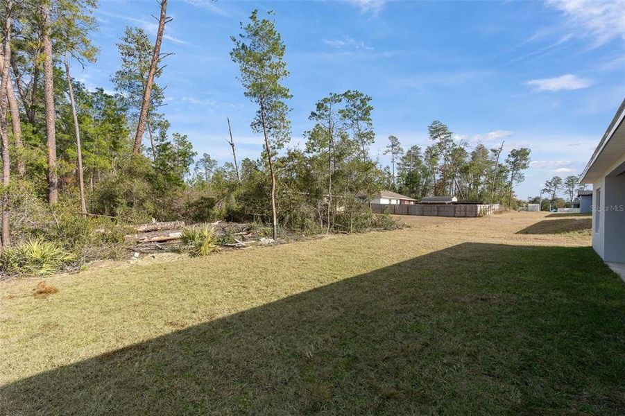 Natural landscape and outdoor views near  in Ocala (Image 26).