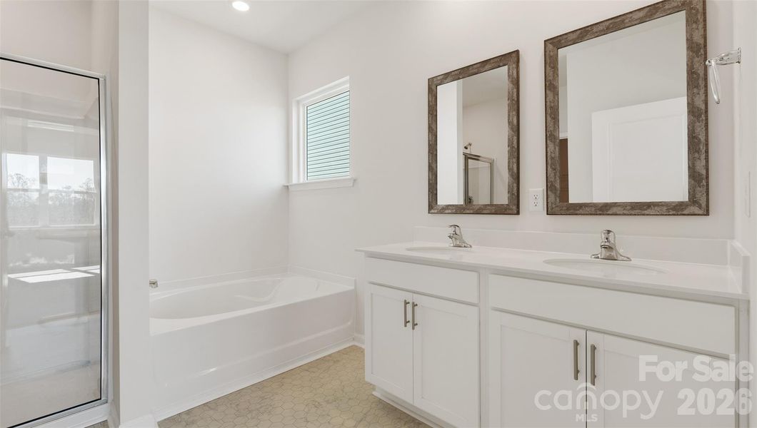 *Photos are representative*